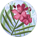 Nour Husseini profile picture